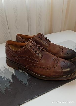 Clarks montacute wing оригінал. 2