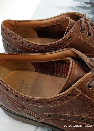 Clarks montacute wing оригінал. 4