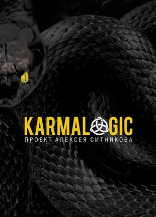 Книга karmalogic тверда обкладинка. проект ситникова