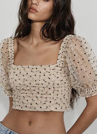 Топ h&m 34 р, xs, s, укороченный, кроптоп, блуза из бежевого тюля в черный горошек, короткие рукава-фонарики, праздничный, эффектный, нарядный топ