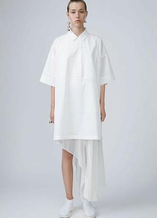 Оригінальна сукня сорочка acne studios poplin sena dry pop shirt dress