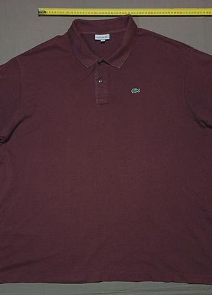 Плечи 61 см lacoste size 4xlb коричневое поло 100% cotton