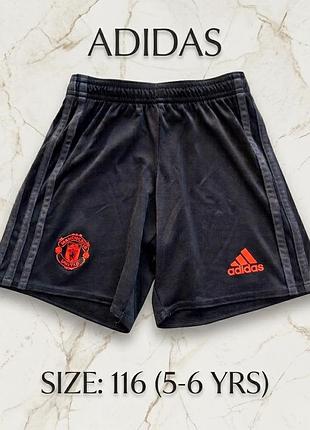 Детские спортивные шорты adidas manchester united мальчику 5-6 л 110-116 см