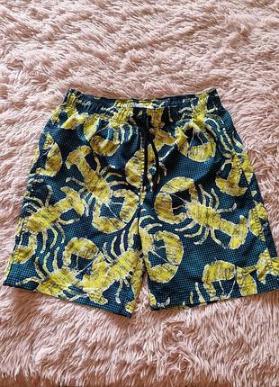 Шорти плавки speedo 12-14р.