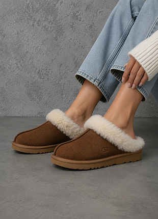 Замшивие жіночі тапочки ugg