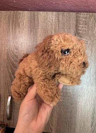 М'яка іграшка собачка  породи кокапу від бренду keel toys.