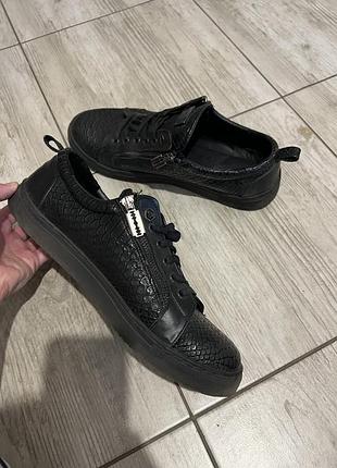 Кеди philipp plein 6