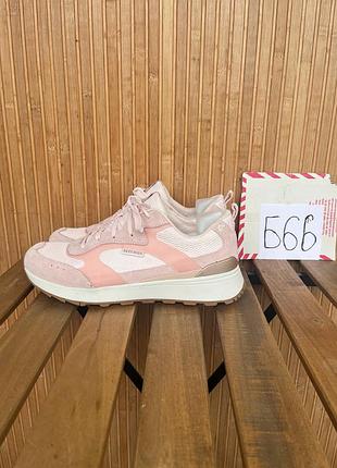 Кроссовки skechers sunny street