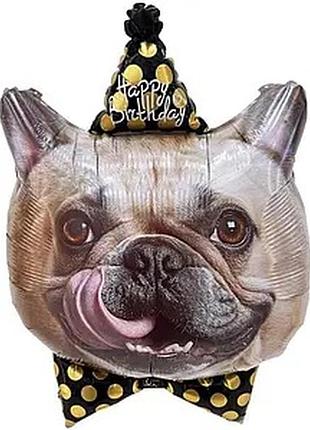 Фольгована кулька  (53х76 см) песик у ковпачку «happy birthday»