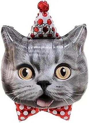 Фольгована кулька 53х76 см) кіт у ковпачку "happy birthday"