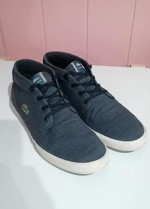 Фирменные кеды  lacoste