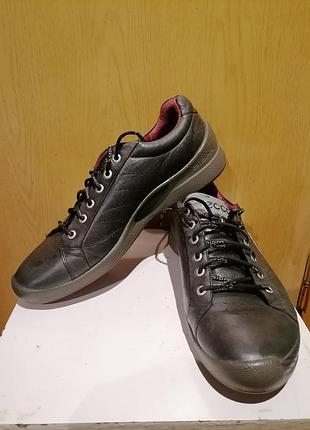 Кожанные кроссовки ecco