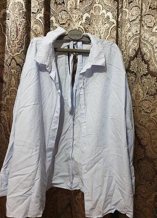 Блузка хлопок zara