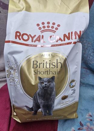 Сухий корм royal canin british shorthair adult, розроблений спеціально для дорослих кішок породи британська короткошерста.