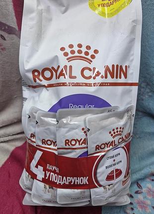 Промо-набір royal canin, який включає велику упаковку сухого корму та 4 паучі роял канін для стерилізованих