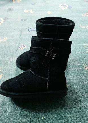 Зимние натуральные угги bearpaw