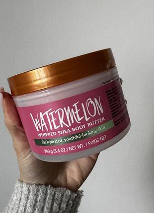 Tree hut watermelon whipped shea body butter