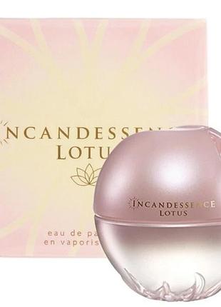 Lotus avon