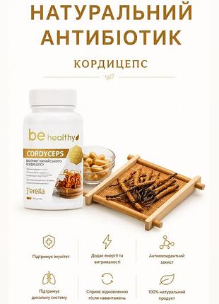 Натуральний антибіотик кордицепс