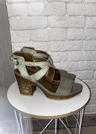 Кожаные босоножки бренда mjus, 37р.