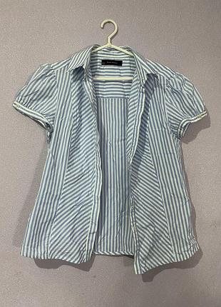 Блакитна жіноча сорочка з коротким рукавом. zara. xl, можна носити як оверсайз
