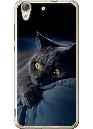 Чехол 2d пластиковый на телефон huawei y6 ii дымчатый кот "825t-338-58250"