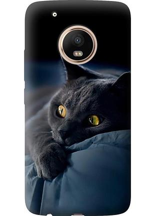 Чехол силиконовый на телефон motorola moto g5 plus дымчатый кот "825u-1038-58250"