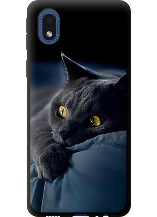 Чохол tpu на телефон samsung galaxy a01 core a013f димчастий кіт "825b-2065-58250"