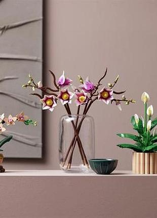 Конструктор lego® botanicals гілки магнолії 435 деталей (11510)
