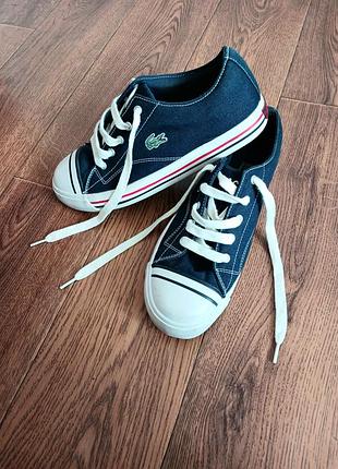 🐊 синие кеды lacoste