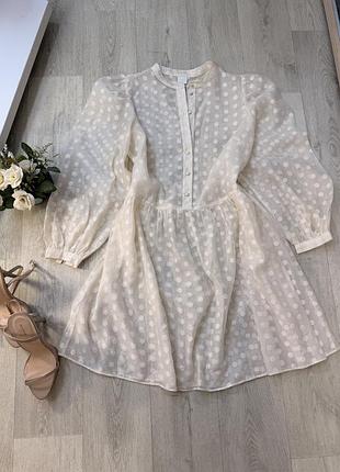 Сукня міді напівпрозора в горох, від h&m