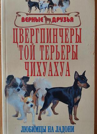 Цифринчери.0-тер'єри.чихуахуа. 	вакулова в.