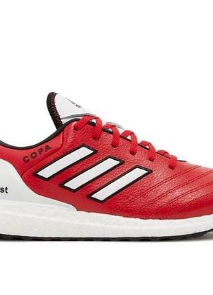 Кросівки adidas ultraboost x copa world cup