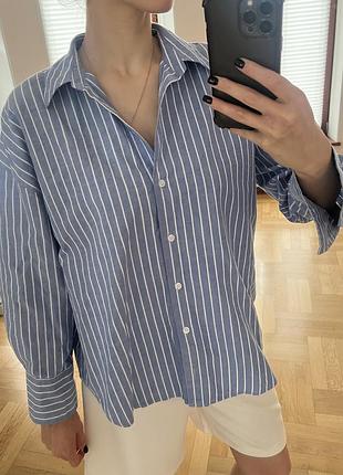 Сорочка zara блакитна у смужку