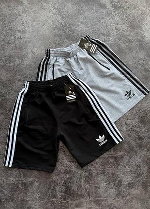 Шорти adidas чоловічі