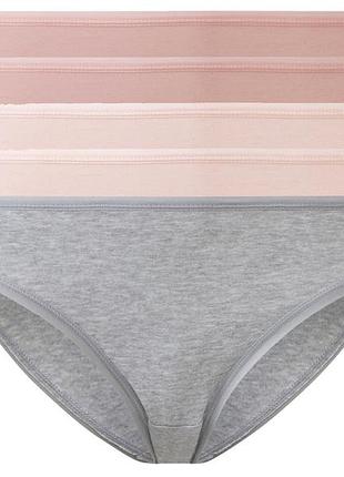 Трусики-слип набор 5 шт. хлопковые для женщины esmara lycra® 499680 l комбинированный