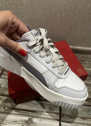 Puma carina