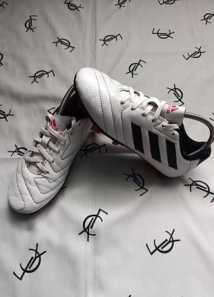 Бутсы adidas goletto