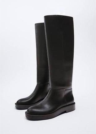 Сапоги від zara 37