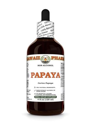 Papaya alcohol-free liquid extract 120 ml