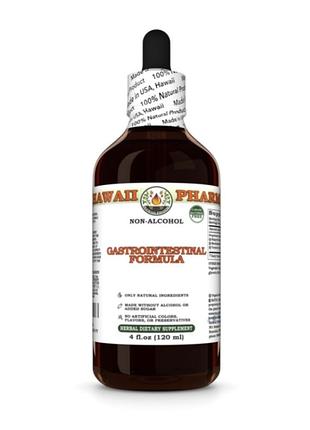 Gastrointestinal formula alcohol-free herbal liquid extract 120 ml