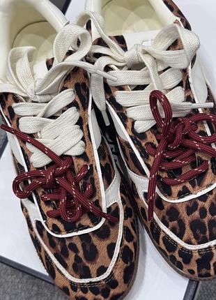 Леопардові кеди steve madden