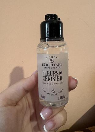 Парфумований гель-піна для душу і ванни вишневий цвіт l'occitane, 75 ml
