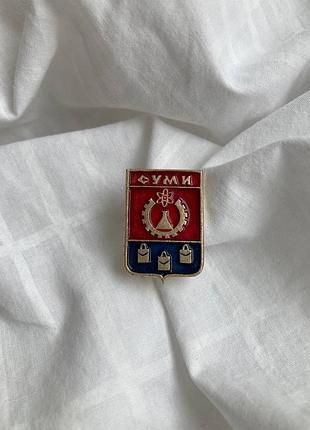 Вінтаж вінтажний пін значек брошка суми
