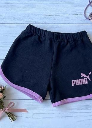 Шорти puma
