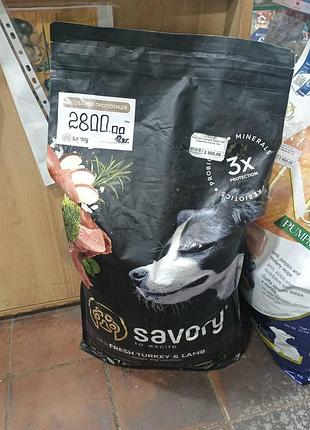 Savory medium breed rich in fresh turkey & lamb - сухий корм на основі свіжого м'яса індички та ягняти для дорослих собак середніх порід сейворі