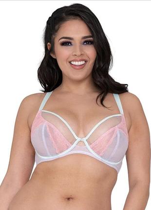 Бюстгальтер планж бренду curvy kate модель flutterby