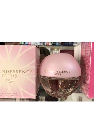 Lotus avon