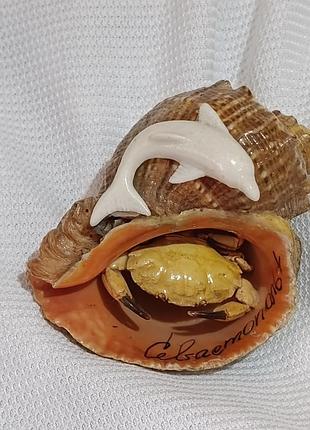 Морський сувенір «севастополь» — мушля з крабом та дельфіном
