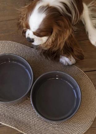 Керамічна миска для собак mokko ceramic bowl